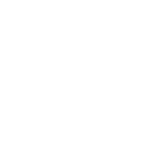 logo white
